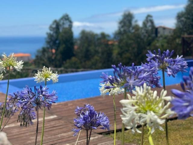 Villa Modular Calheta  Exterior foto